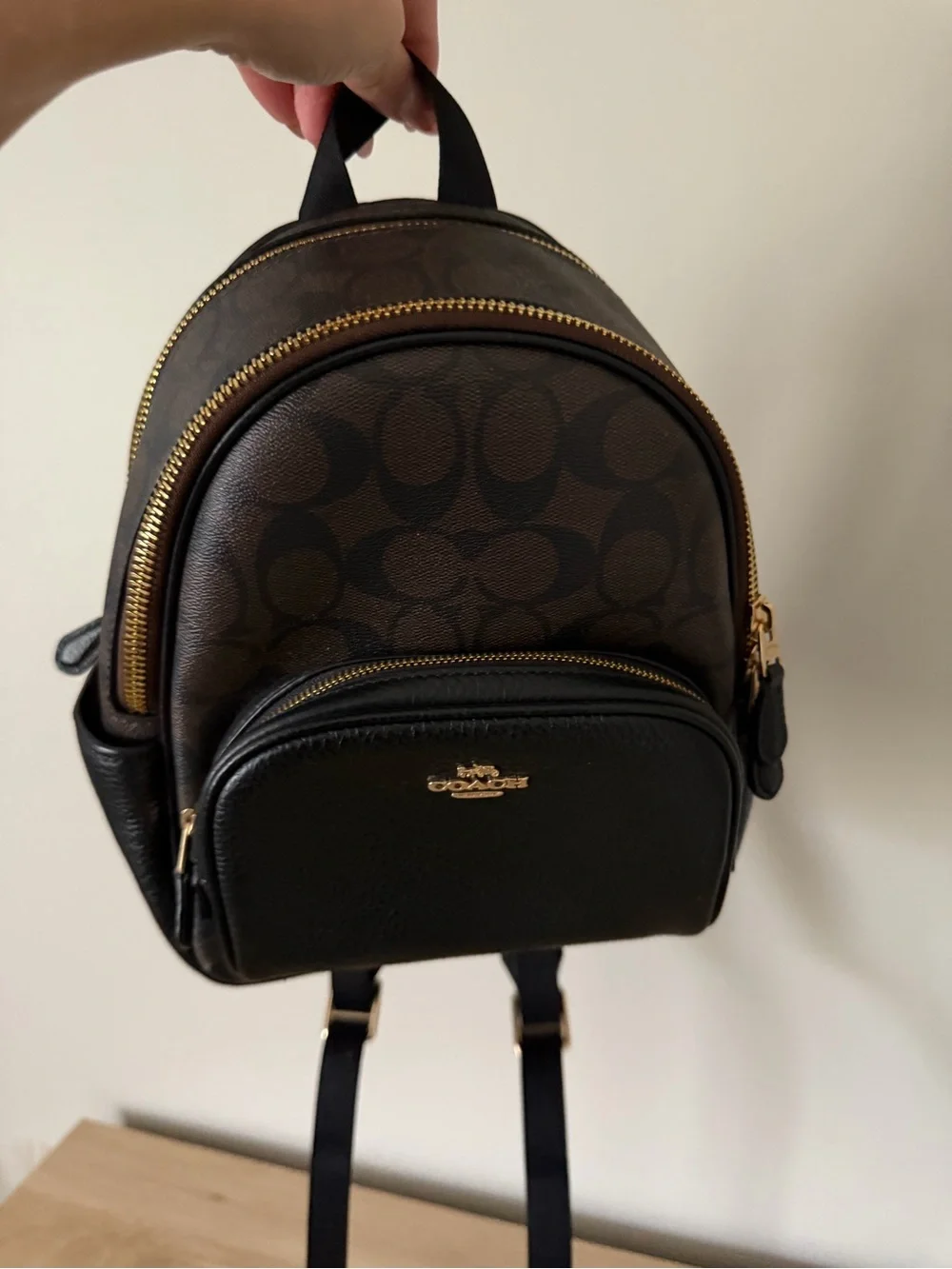 Coach Mini Backpack in Brown and Black with Gold Hardware